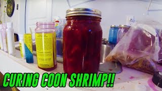 quotHowToquot  Cure Coon Shrimp For Salmon amp Steelhead Fishing Bait [upl. by Irab]