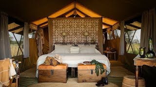 Serengeti Safari Camp  Tanzania [upl. by Lewin735]