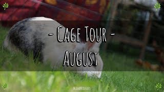 Mein Kaninchengehege  Cage Tour August [upl. by Lorilyn]