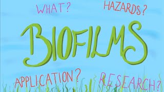 What is a Biofilm [upl. by Buchanan]