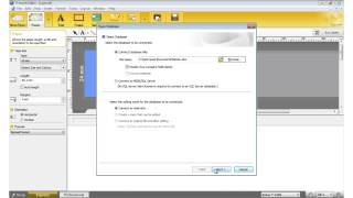 PTouch  How To  Printing from a Database  EN [upl. by Innavoij]