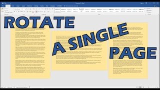 How To Rotate Just One Page Of A Word Document [upl. by Ereveneug]