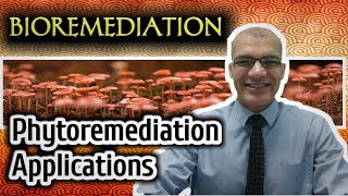 Phytoremediation Applications [upl. by Gnilrets]