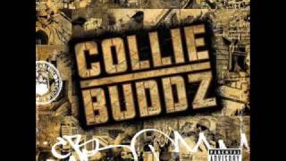 Collie Buddz Come Around Instrumental [upl. by Kipper]