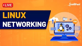 Linux Networking  Linux Networking Commands  Linux Networking Tutorial  Intellipaat [upl. by Immac]