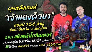 คุยหลังเกมส์ “เจ้าแดงคิวบา” ซุ้ม ภักดีฟาร์ม พิษณุโลก สู่ ปภาวิน ฟาร์ม เชียงราย 0839556596 [upl. by Harris451]