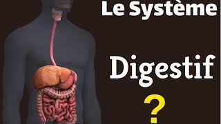 Le Système Digestif [upl. by Anpas]