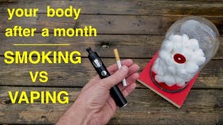 How Smoking vs Vaping Affects Your Lungs ● You Must See This [upl. by Iahcedrom]