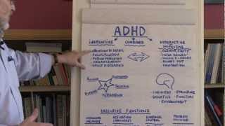 What Is ADHD [upl. by Liagaba660]