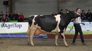 30 ste Wintershow Flevoland 2020 [upl. by Ladd]