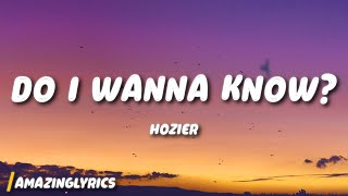 Hozier  Do I Wanna Know [upl. by Kurt152]