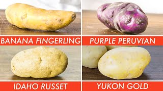 Trying Every Type Of Potato  The Big Guide  Epicurious [upl. by Giulia]