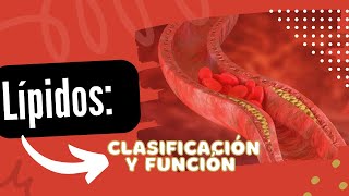 Lípidos CLASIFICACIÓN Y FUNCIÓN 🔬 [upl. by Khajeh479]