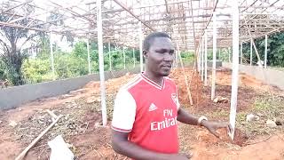 How to Build a 5000 Capacity Poultry House for Broilers [upl. by Ainna]