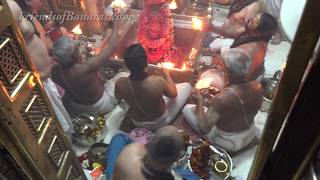 Kashi Vishwanath Darshan and Saptarishi Aarti [upl. by Nannoc]