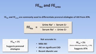 Acute Kidney Injury Part 23  Diagnostic Evaluation [upl. by Ettennor]