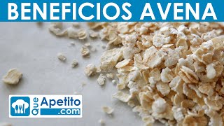 8 Propiedades y Beneficios de la Avena  QueApetito [upl. by Charbonnier944]