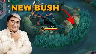 New Bush  New Wall and New Lord  Turtle Buff in Mobile Legends Explained by Fuego Gaming [upl. by Shirah]