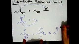 How to Make Esters Mechanism [upl. by Kila]