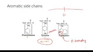 Determining Protonation State of Amino Acids [upl. by Rise]