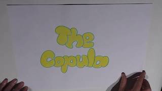 Episode 34  The Copula [upl. by Harbard319]