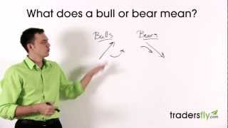 What Does a Bull and Bear Mean in the Stock Market [upl. by Odrareve]