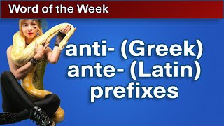 anti Greek and ante Latin prefixes  Word of the Week 17 [upl. by Vocaay]