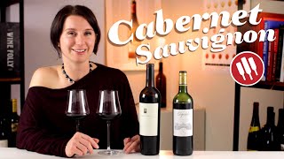 Explore The Styles of Cabernet Sauvignon  Wine Folly [upl. by Apul]