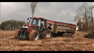 BIG CASE IH 1455 IN MUD  TRACTEUR FAILFIRE COMPILATION 2021 [upl. by Yenaj]