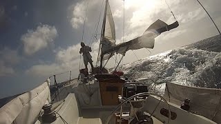 quotAlone Togetherquot Singlehanded Sailing LA to Hawaii and Return [upl. by Maximilien]