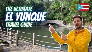 The Ultimate El Yunque National Forest Travel Guide  Rio Grande Puerto Rico [upl. by Areyk]