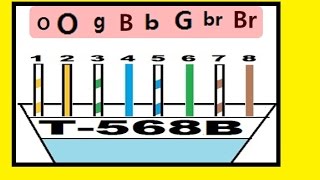 Network PlusT568B Standard memorize fast [upl. by Ammamaria323]