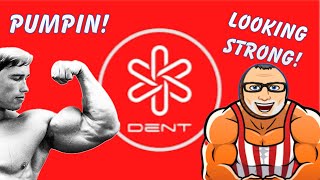 DENT COIN TIME TO PUMP [upl. by Llemrej917]