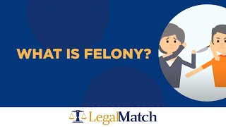 What is a Felony [upl. by Nayk]