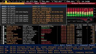 Bloomberg Terminal Part 1  Quick Introduction to Basic Functions [upl. by Inhsor]