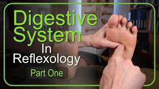 How to Work the Entire Digestive System in Reflexology Part 1 [upl. by Tedd]