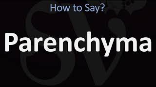 How to Pronounce Parenchyma CORRECTLY [upl. by Novaat]