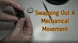 Mechanical Watch Movement Replacement Basics [upl. by Atteuqahc576]