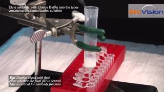 Antibody Purification Video  Biovision Inc [upl. by Colier]