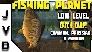 Fishing Planet TIPS  Low Level Guide  Catch CARP  Lesni Vila FIshery  Czech Republic [upl. by Anawahs]