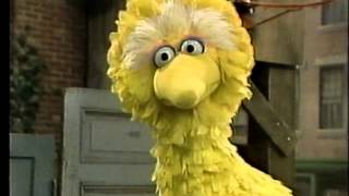 Classic Sesame Street  Big Bird The Grouch [upl. by Foy121]