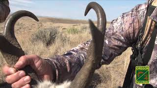 How to Hunt Pronghorn Hunting Pronghorn [upl. by Roosnam]