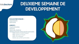 Deuxième semaine de développement embryonnaire  Embryologie générale [upl. by Eiramanig]