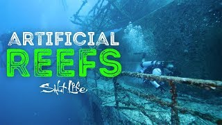 What are Artificial Reefs  Salt Life [upl. by Gherardo956]