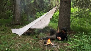 Solo Bushcraft Overnighter  Tarp Shelter Chaga Tea Campfire Cooking Rain River Camping [upl. by Meihar]