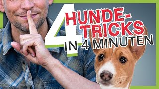 4 HUNDETRICKS in 4 MINUTEN [upl. by Parshall665]