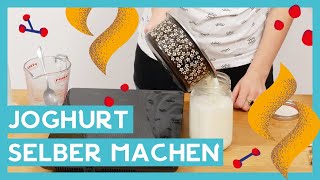 Joghurt selber machen I Rezept Schritt für Schritt DIY 👨‍🍳 [upl. by Debi]