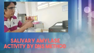 Spectrophotometric Determination of Salivary Amylase Activity [upl. by Philis]