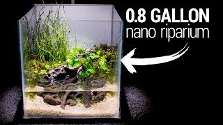 Making a 08 Gallon NANO RIPARIUM [upl. by Nyltyak]