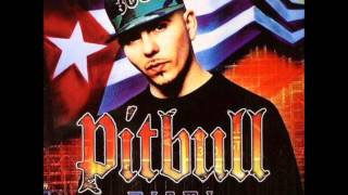 Pitbull  305 Anthem feat Lil Jon [upl. by Sainana757]